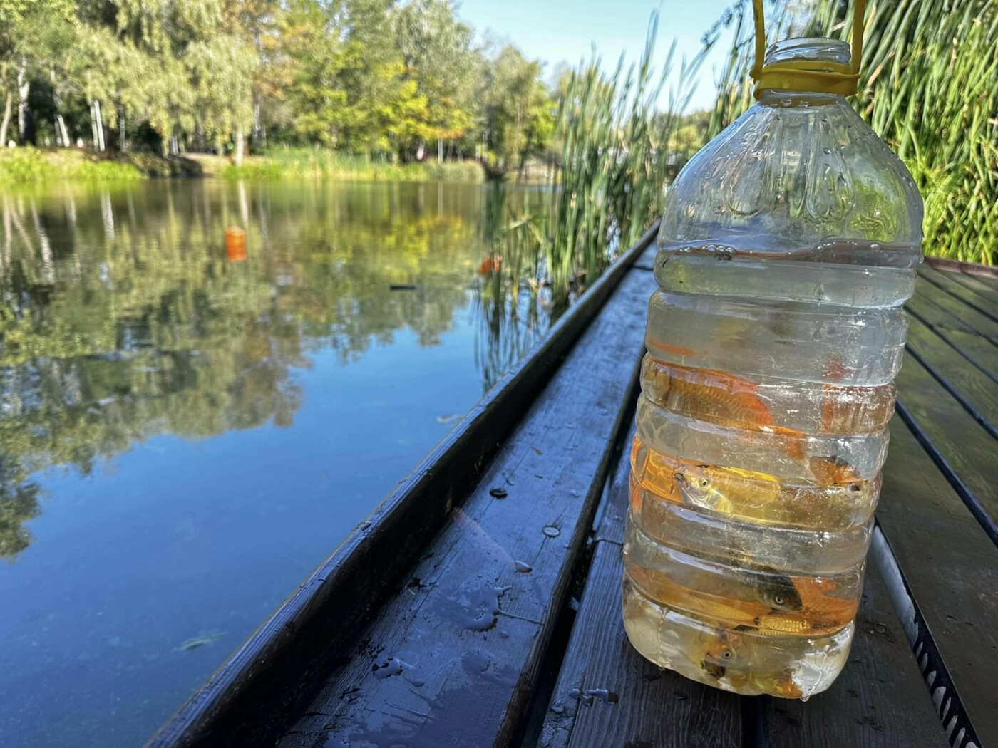 Фото: КП по УЗН Дніпровського району