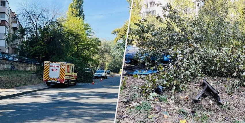 У Києві спорткар влетів у дерево