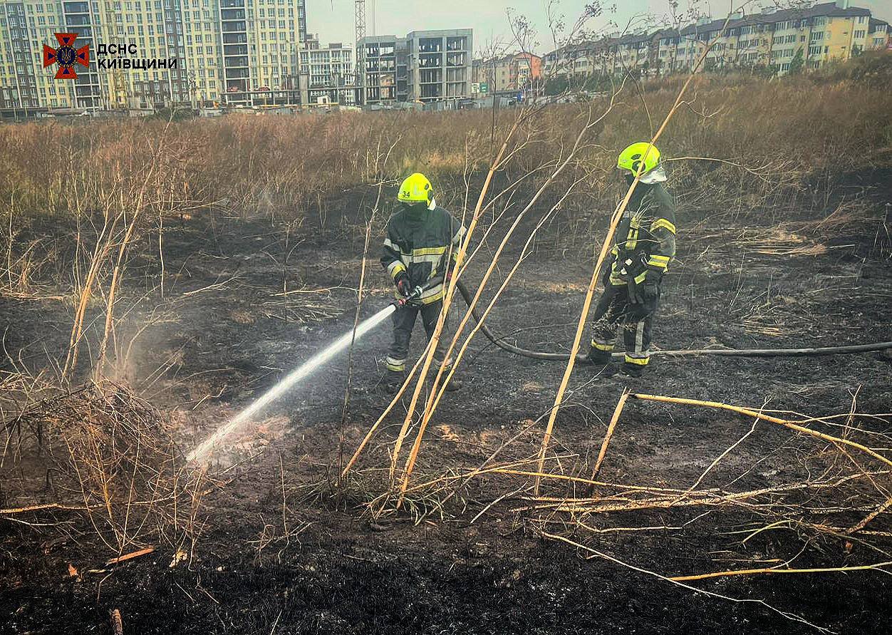 У Київській області ДСНСники врятували їжачка з вогню