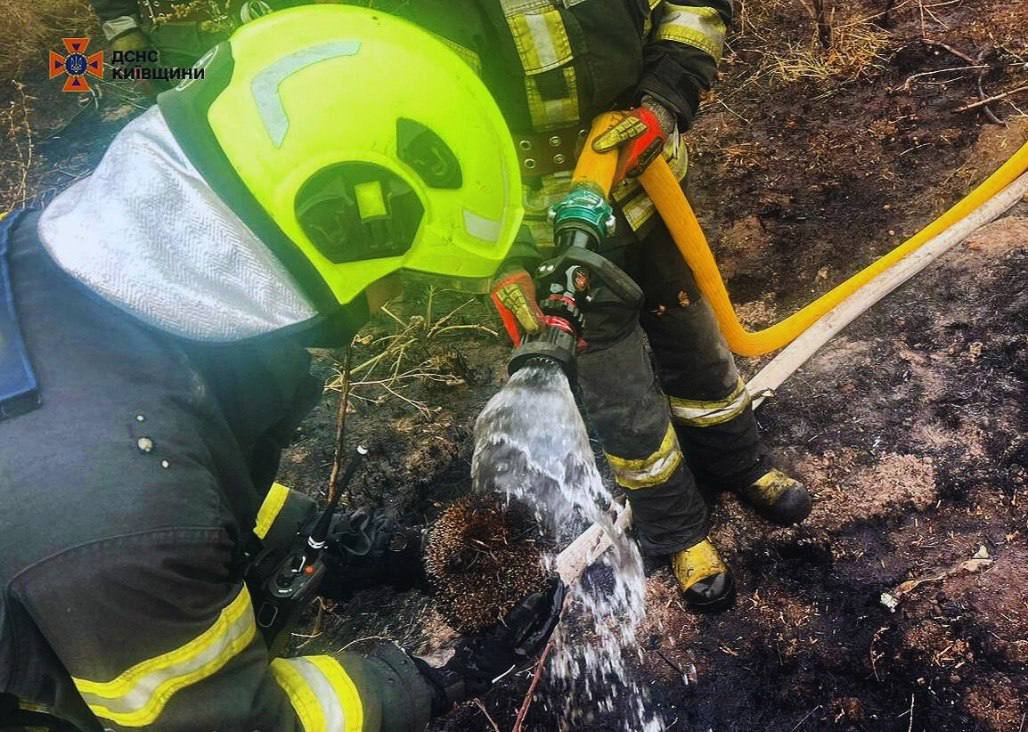 У Київській області ДСНСники врятували їжачка з вогню