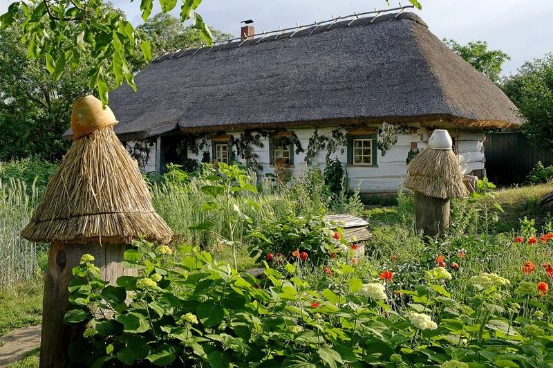 Етнографічний музей «Хутір Савки» у с. Нові Петрівці