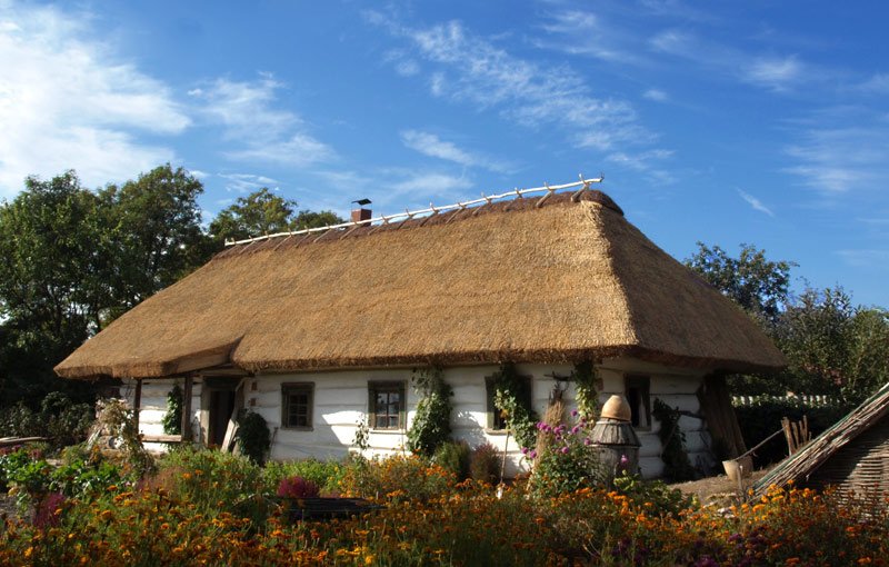 Етнографічний музей «Хутір Савки» у с. Нові Петрівці