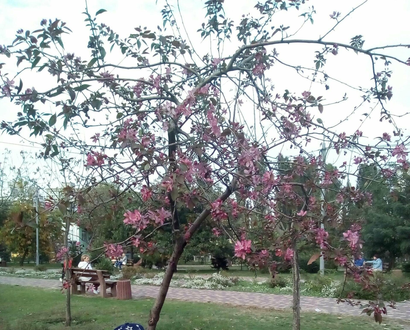 Фото з мережі