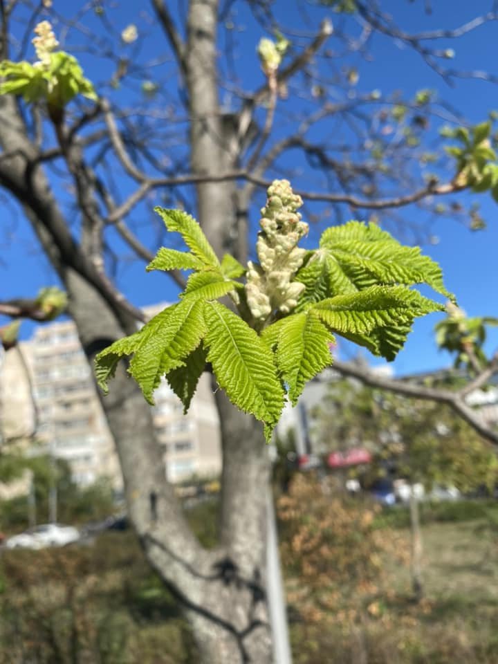 Фото з мережі