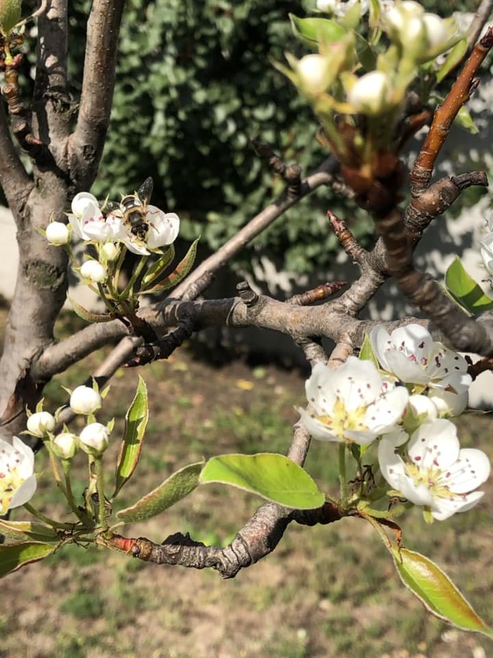 Фото з мережі