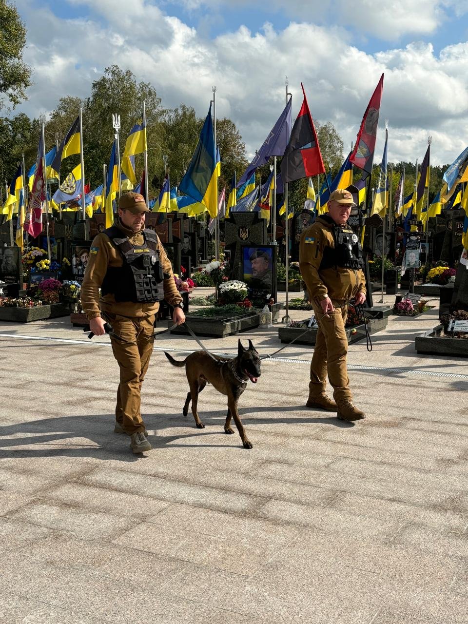 Патрулювання з тваринами - це відповідальність