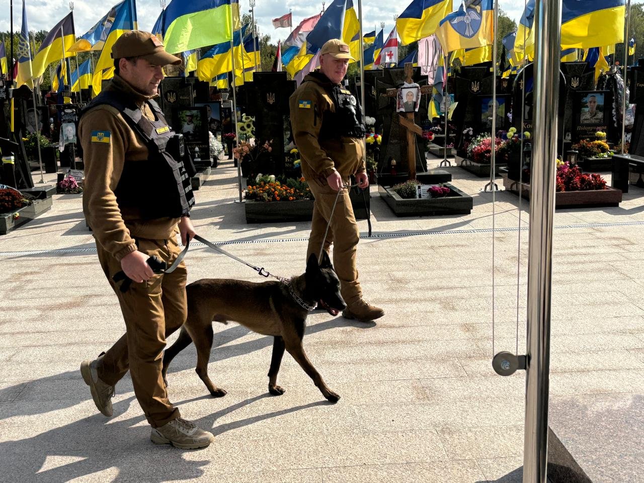 Патрулювання з тваринами - це відповідальність