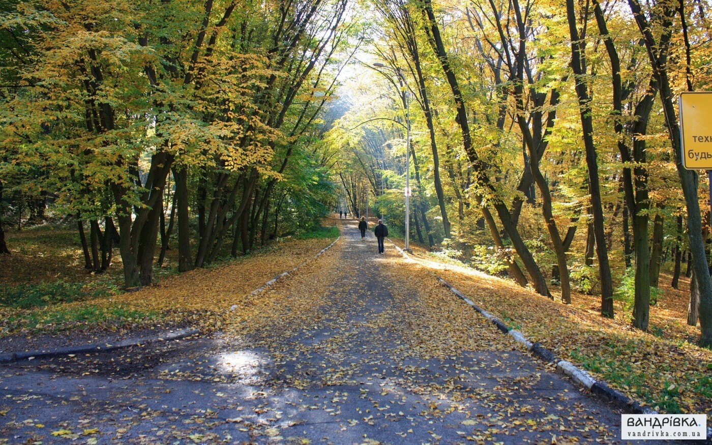 Голосіївський парк