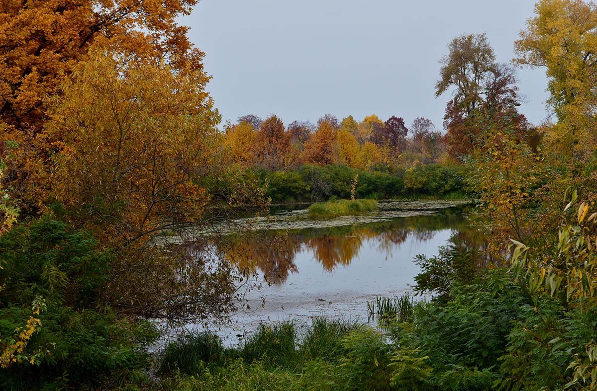 Київський парк Муромець