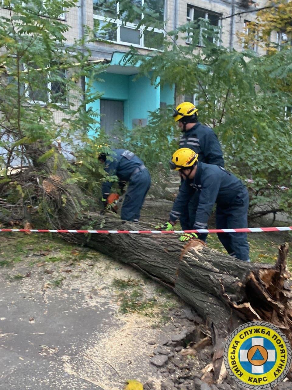 Негода повалила дерева у Києві