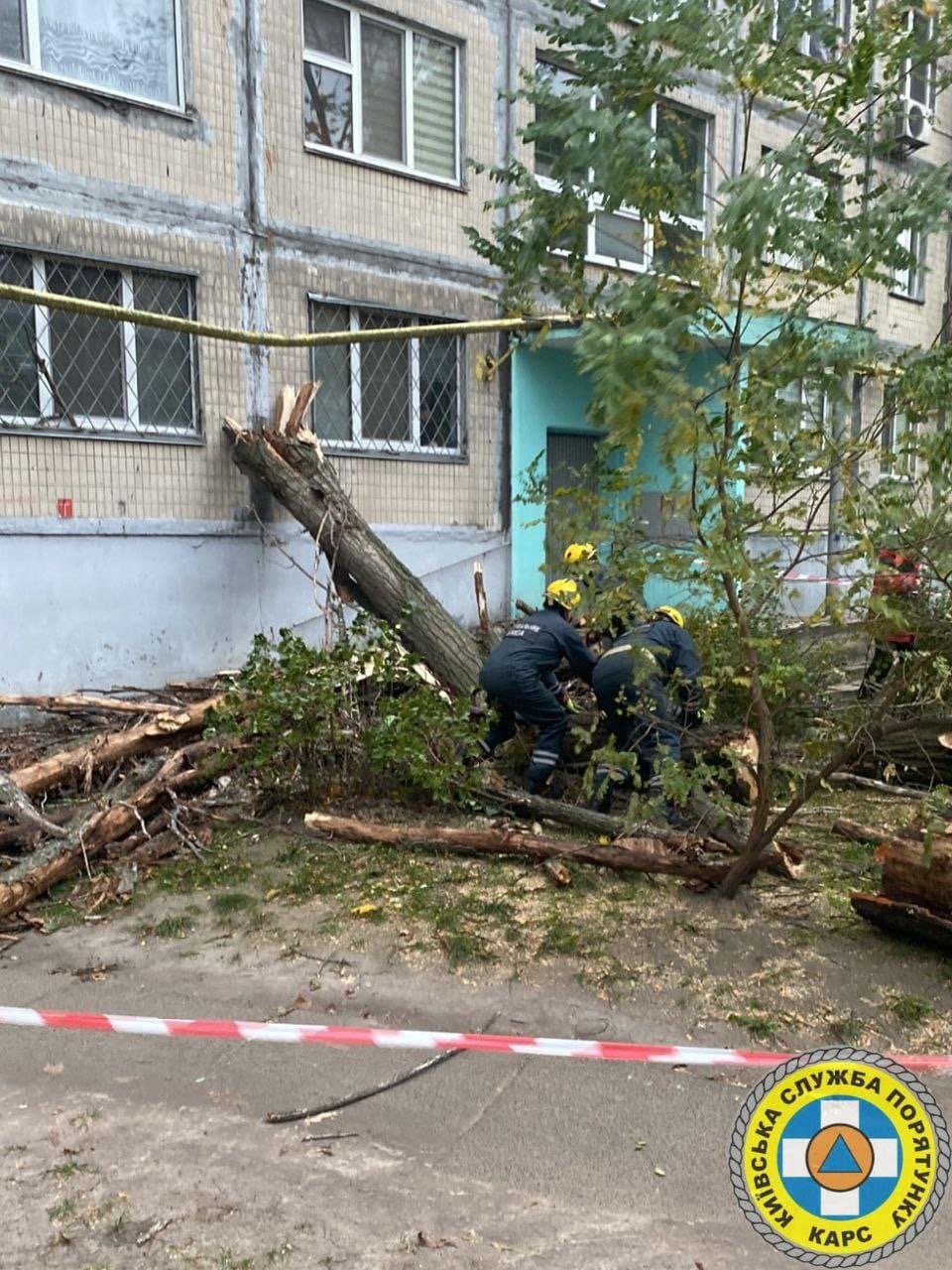 Негода повалила дерева у Києві