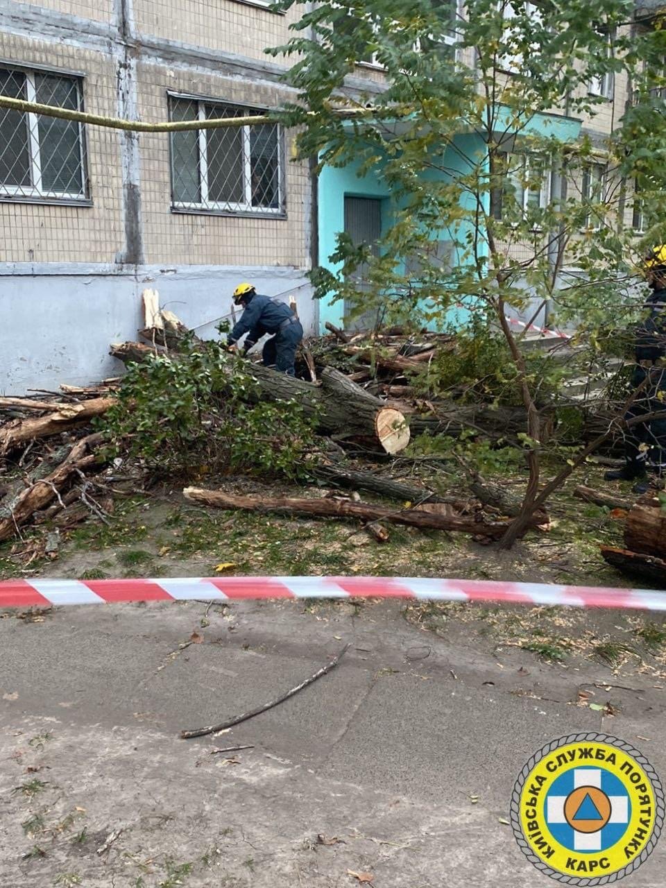 Негода повалила дерева у Києві