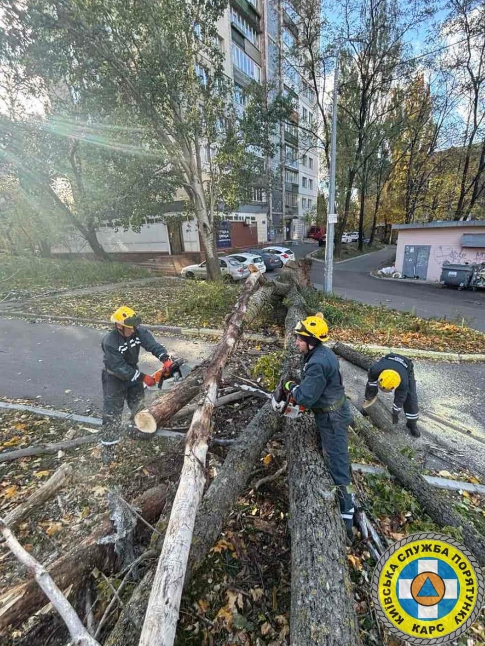 Негода повалила дерева у Києві