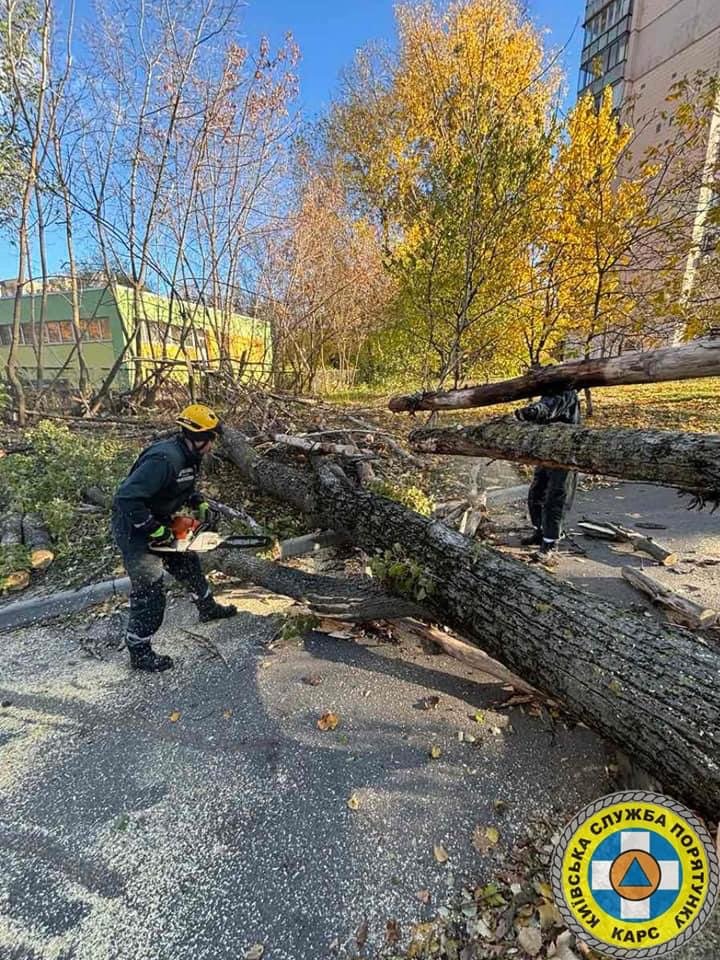 Негода повалила дерева у Києві