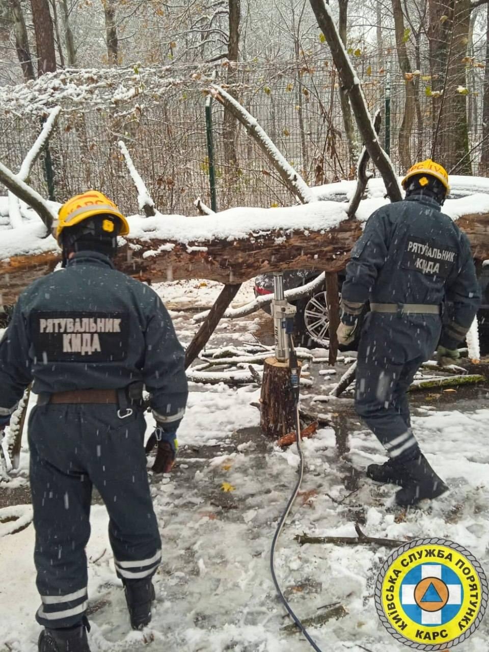 У Києві через негоду рятувальники деблокували два авто, на які впало дерево