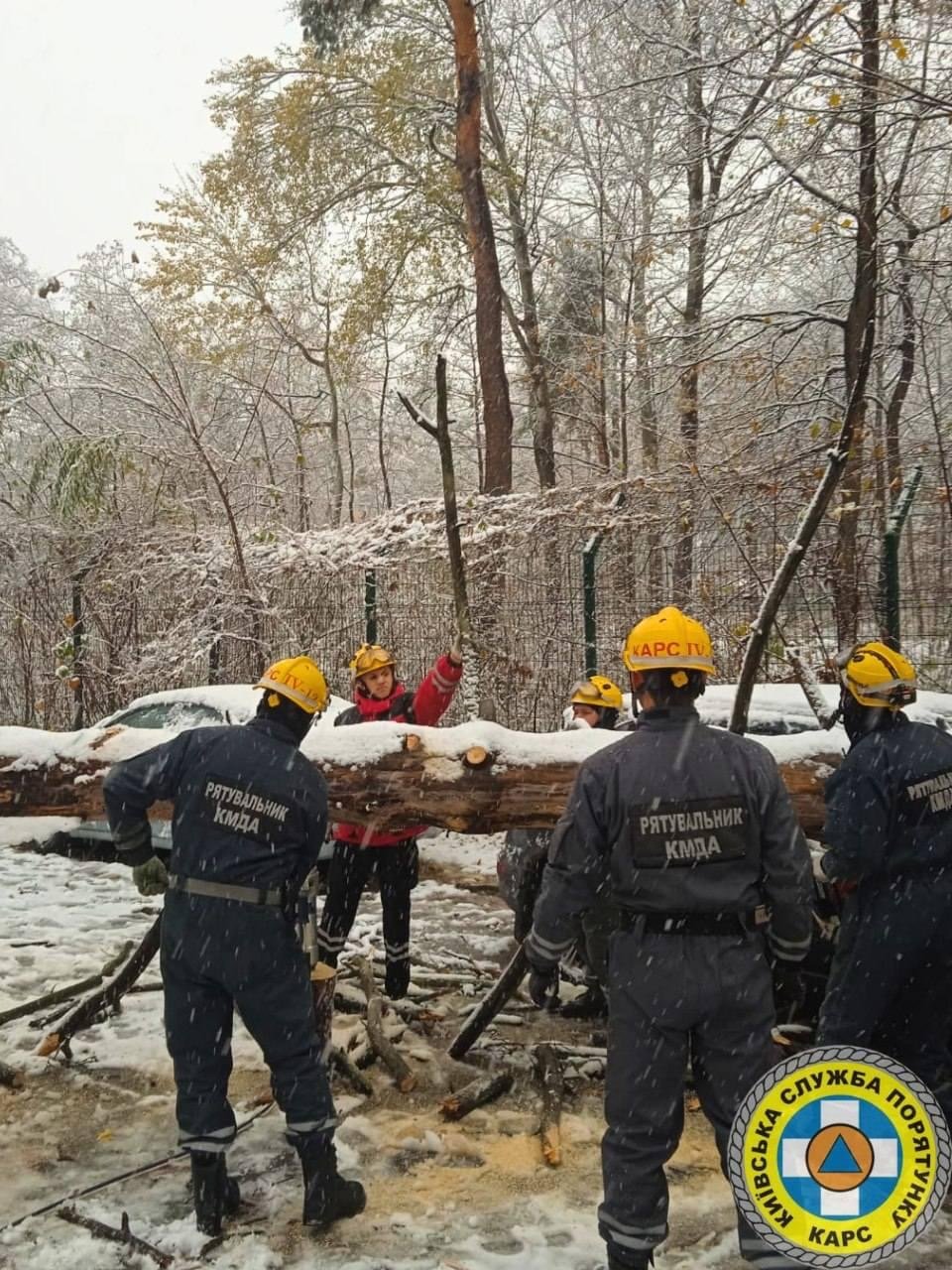 У Києві через негоду рятувальники деблокували два авто, на які впало дерево