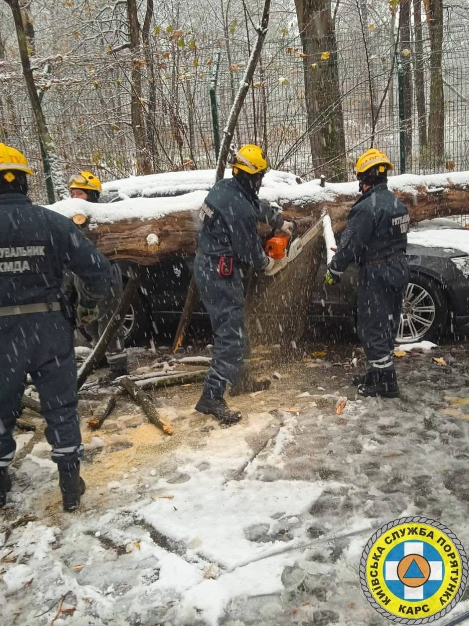 У Києві через негоду рятувальники деблокували два авто, на які впало дерево