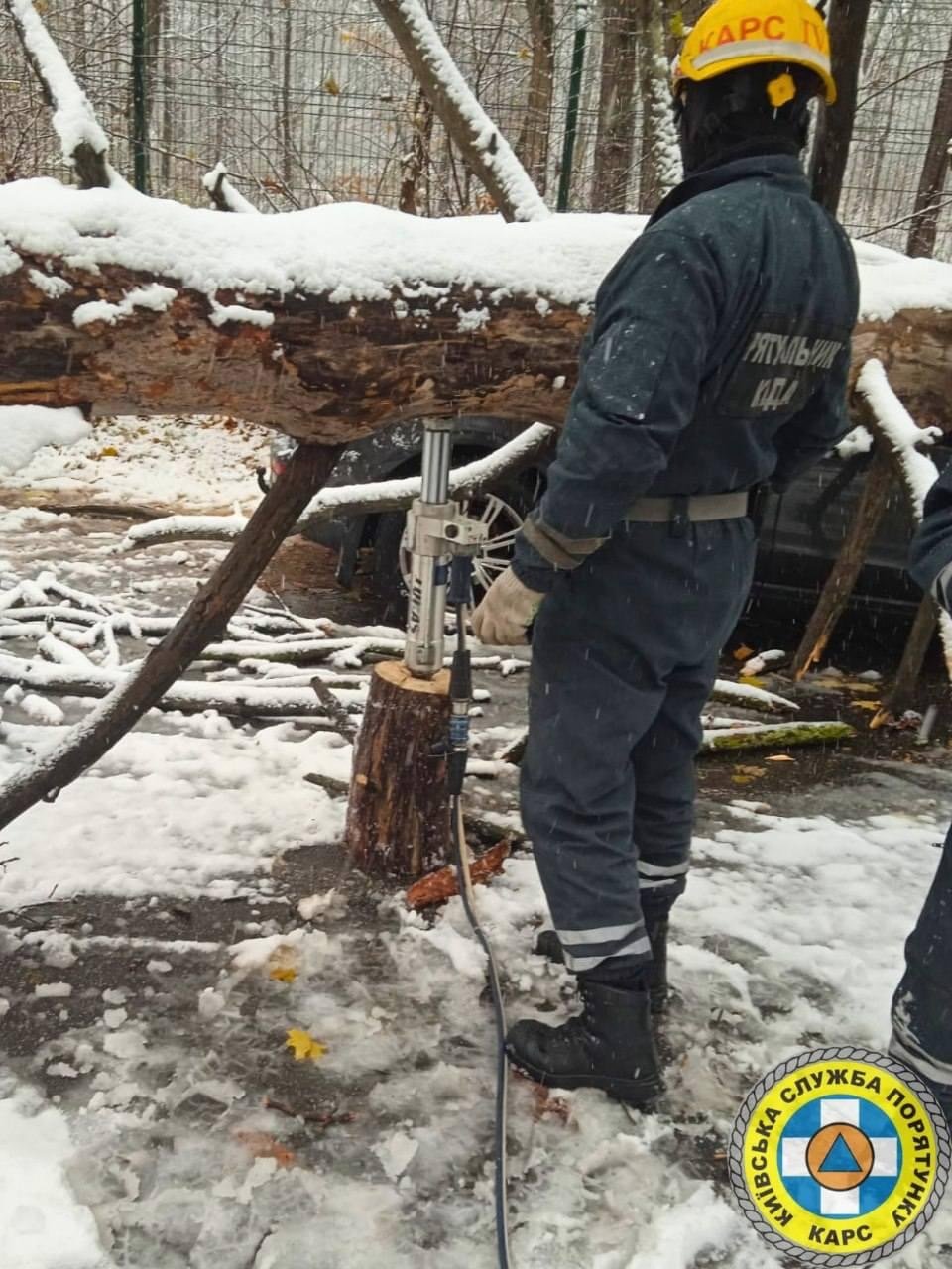 У Києві через негоду рятувальники деблокували два авто, на які впало дерево