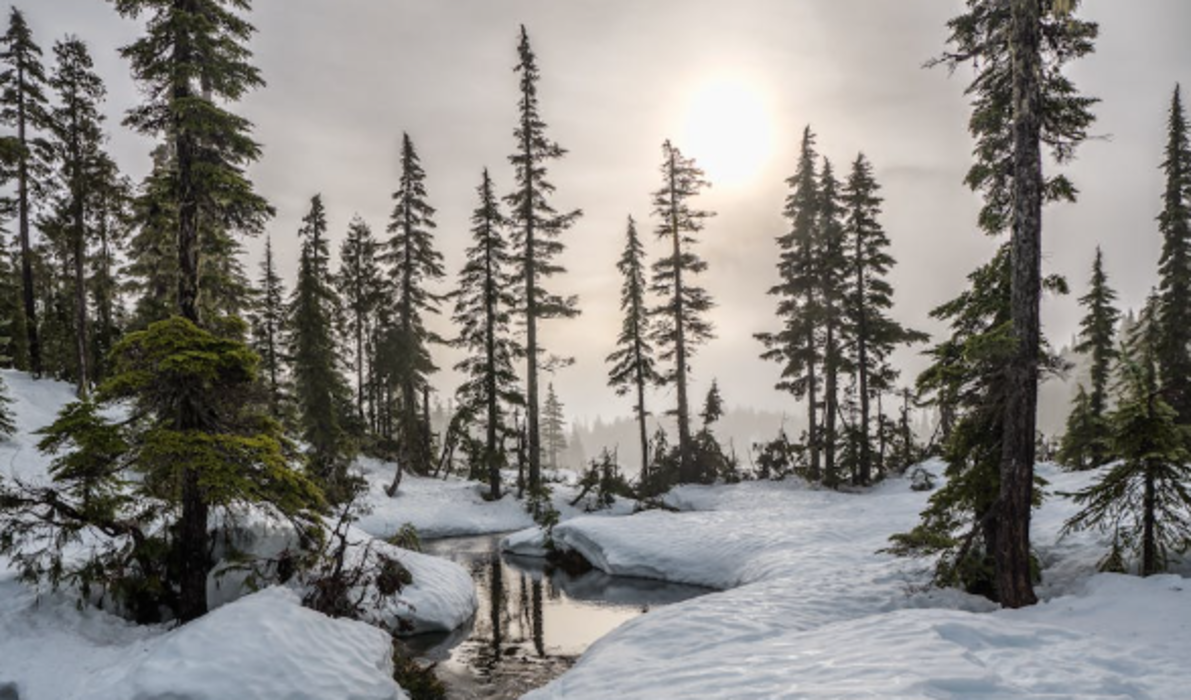 Частину України накриють снігопади та зливи: прогноз погоди на 28 листопада
