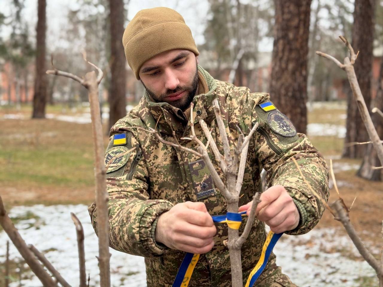 У Києві на честь полеглих захисників висадили калинову алею