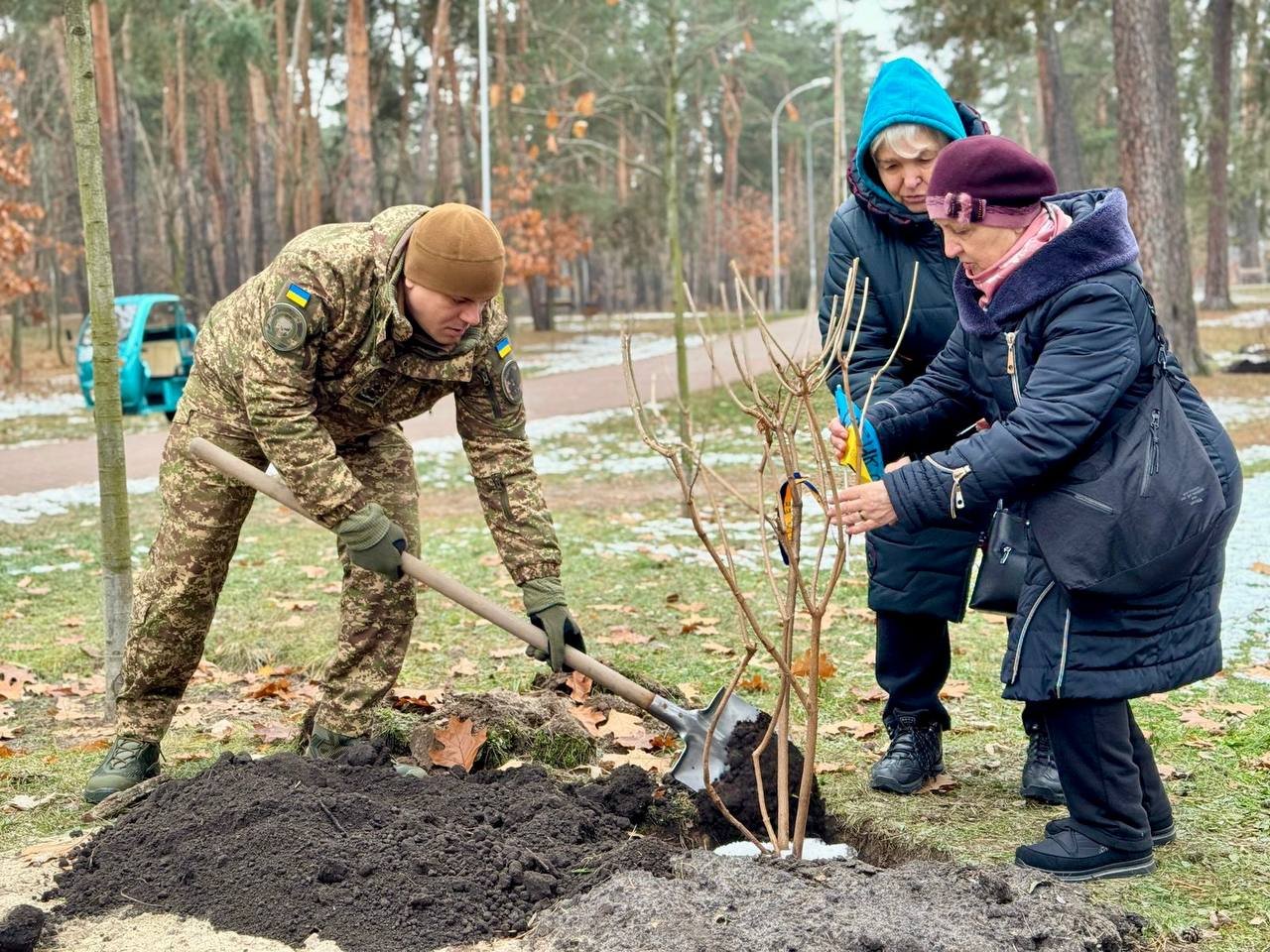 У Києві на честь полеглих захисників висадили калинову алею