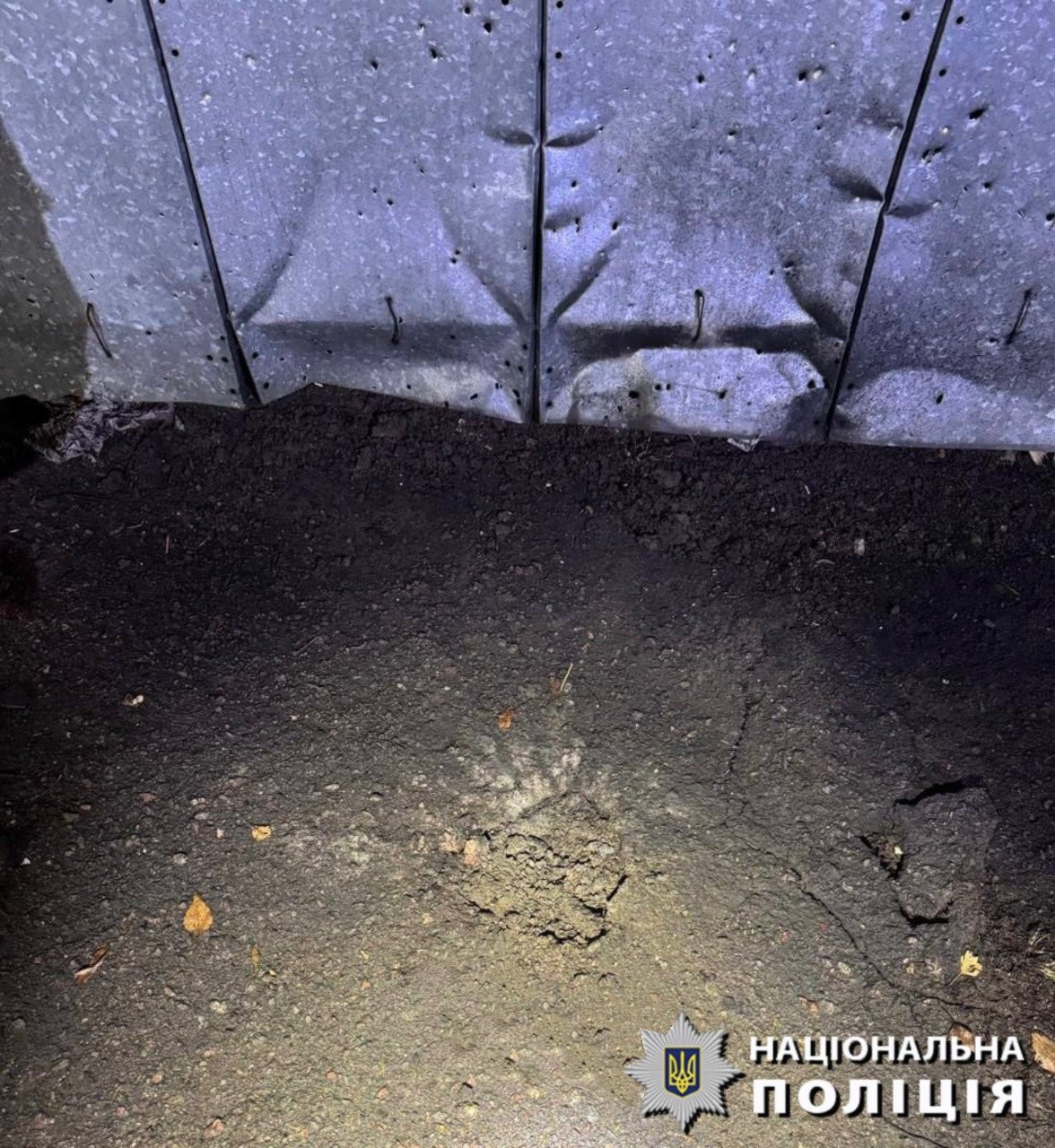 Зловмиснику загрожує до семи років ув'язнення