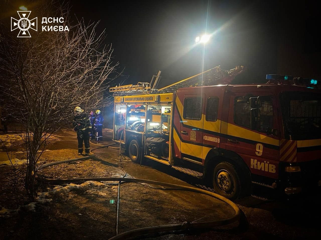 Пожежу загасили за годину