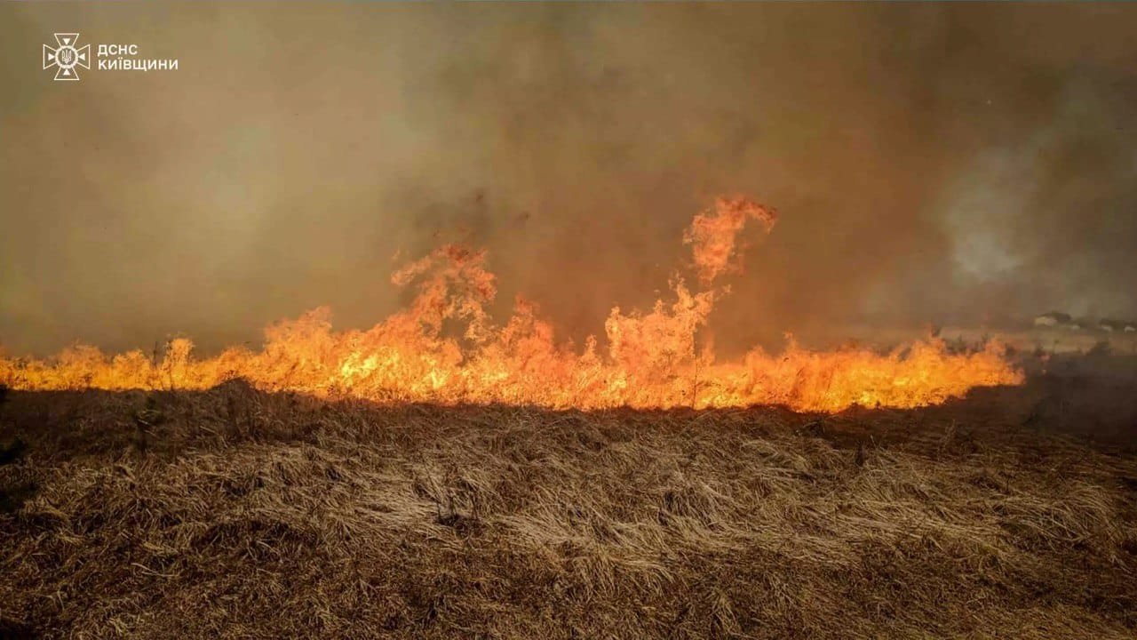 Пожежу ліквідували за півтори години