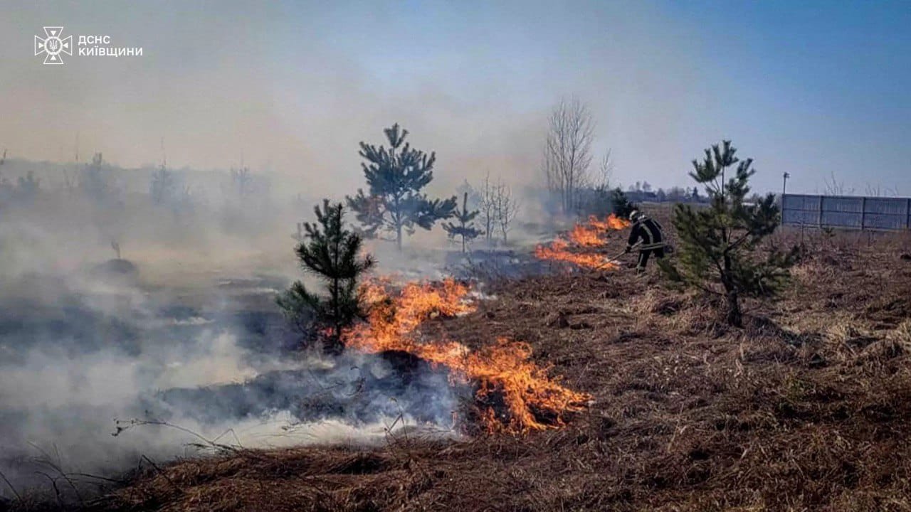 Пожежу ліквідували за півтори години