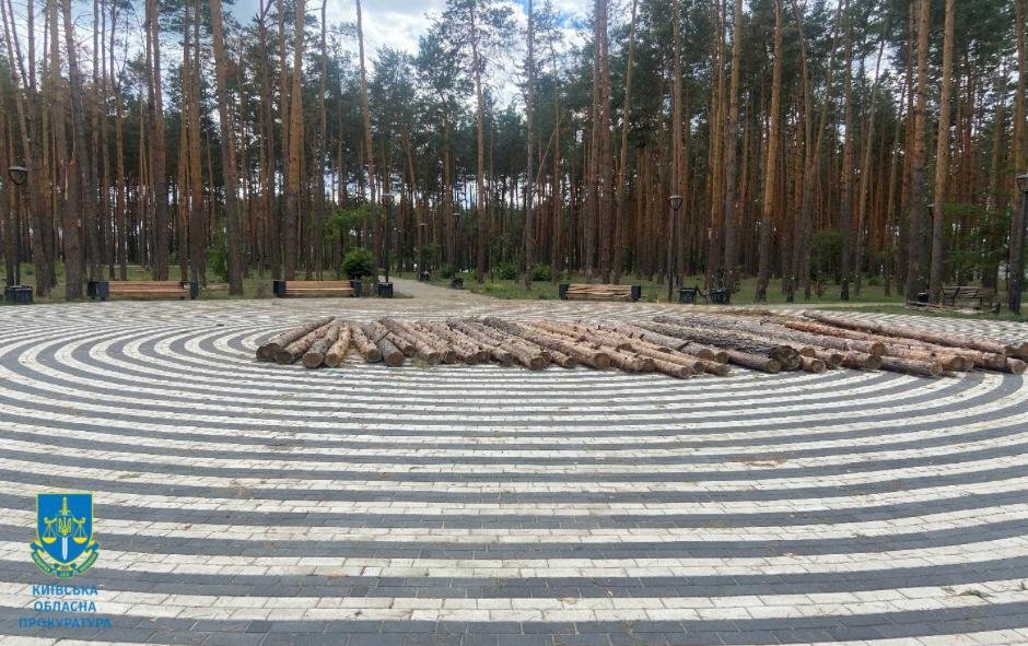Знищені майже 600 сосен