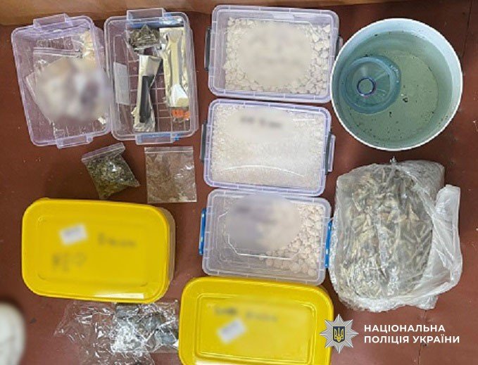 Затриманим загрожує до 12 років ув'язнення