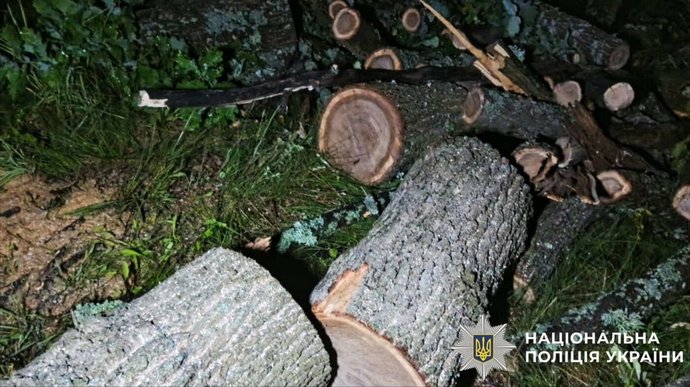Чоловікові загрожує до семи років ув'язнення