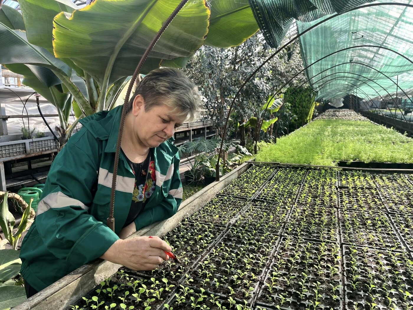 Фото - "Київзеленбуд"