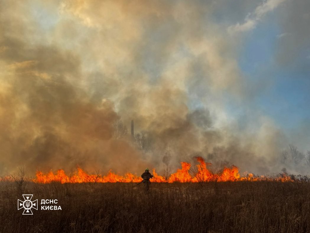 Фото - ДСНС Києва