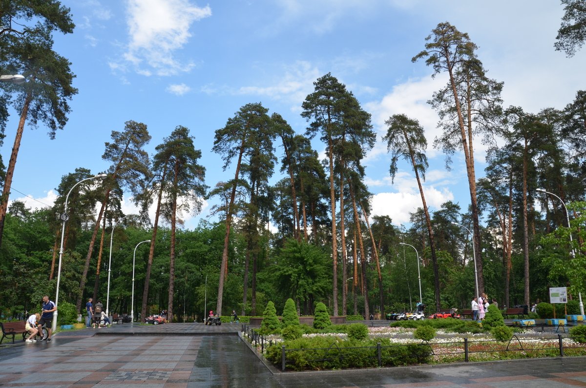 парк Партизанської слави