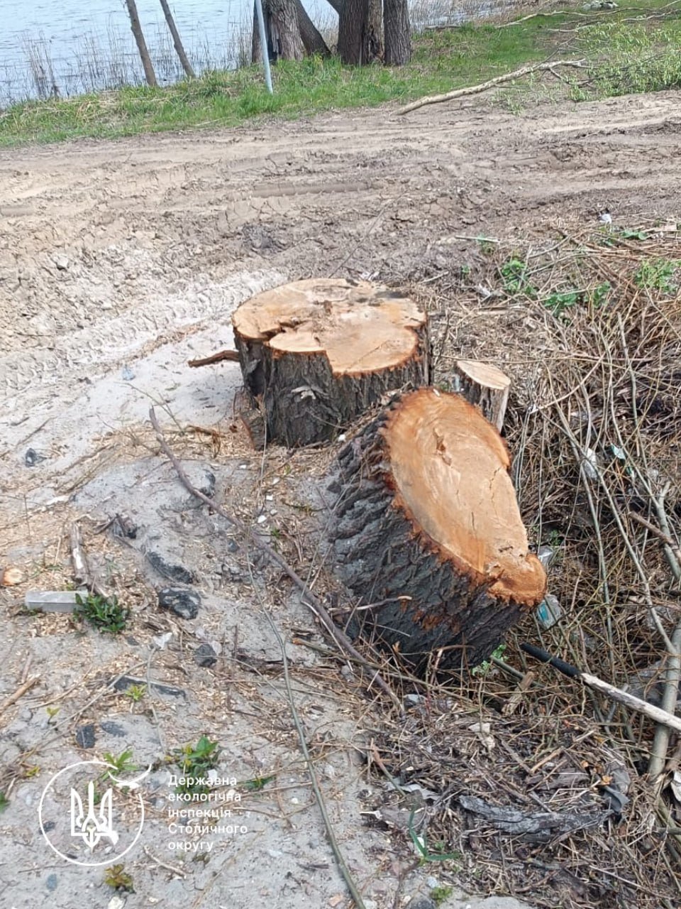 Фото - ДЕІ