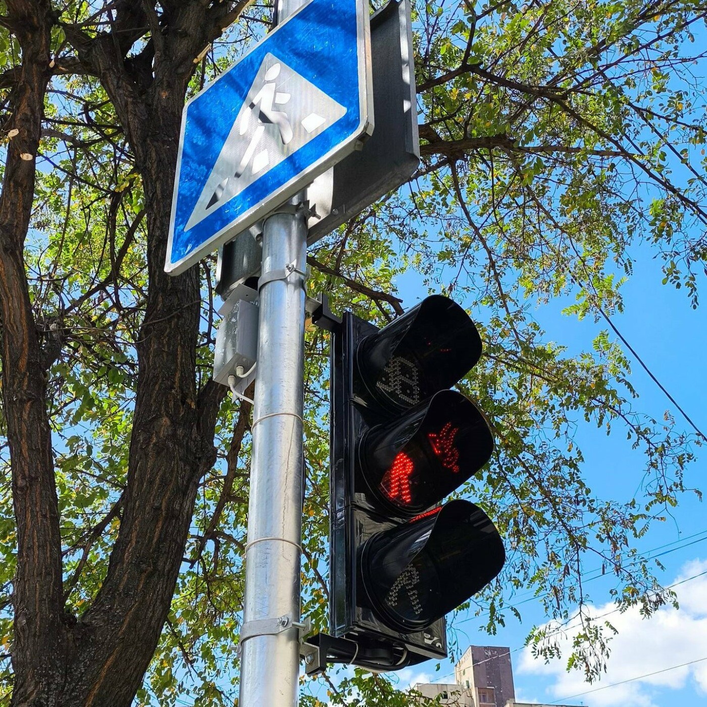 Фото: КМДА