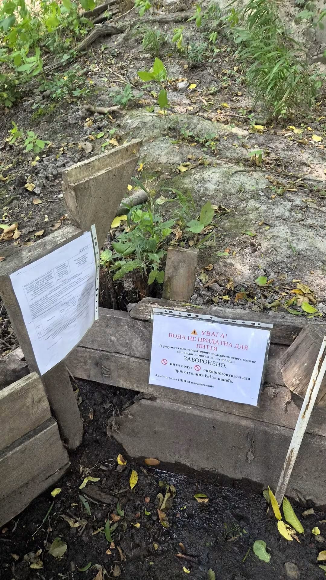 Фото: Національний природний парк Голосіївський