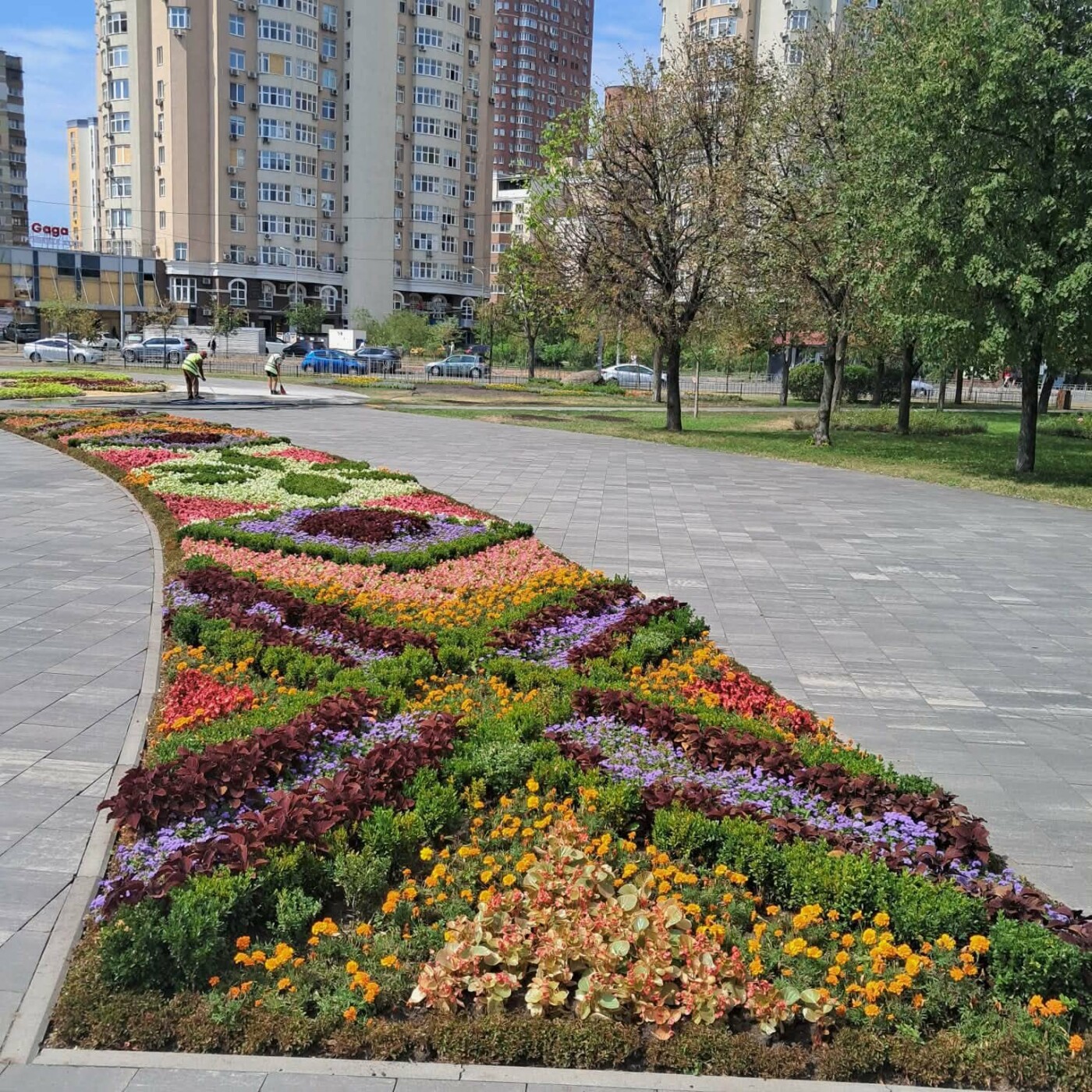 Фото: Департамент захисту довкілля КМДА