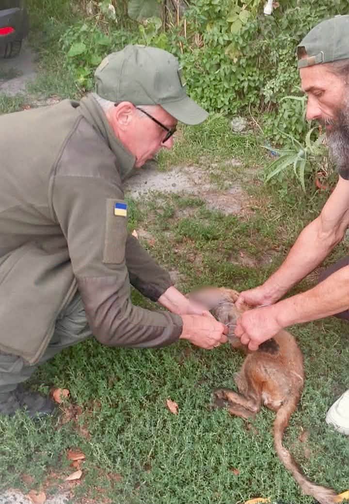 Фото: КП «Муніципальна безпека»