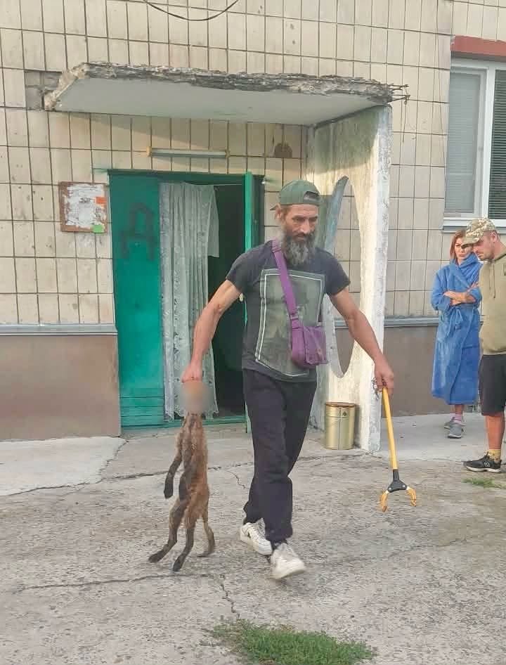 Фото: КП «Муніципальна безпека»