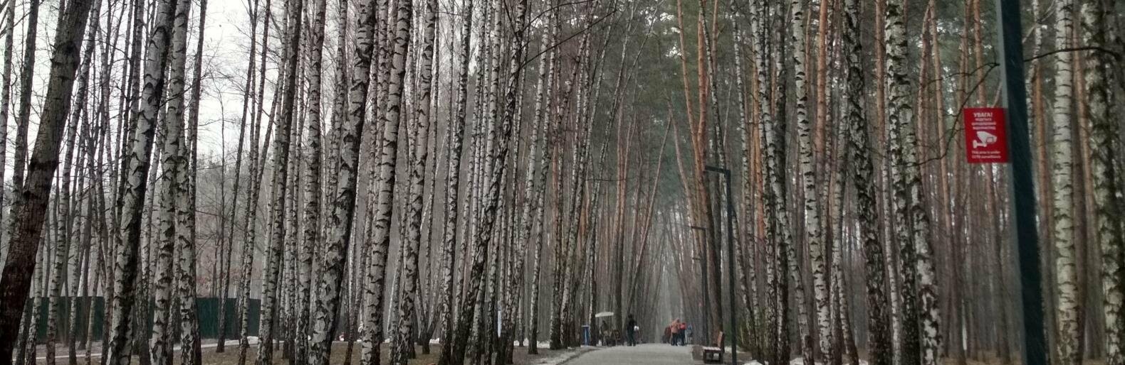 «Совки» на Борщаговке: чем интересен один из лучших парков Киева, - ФОТО