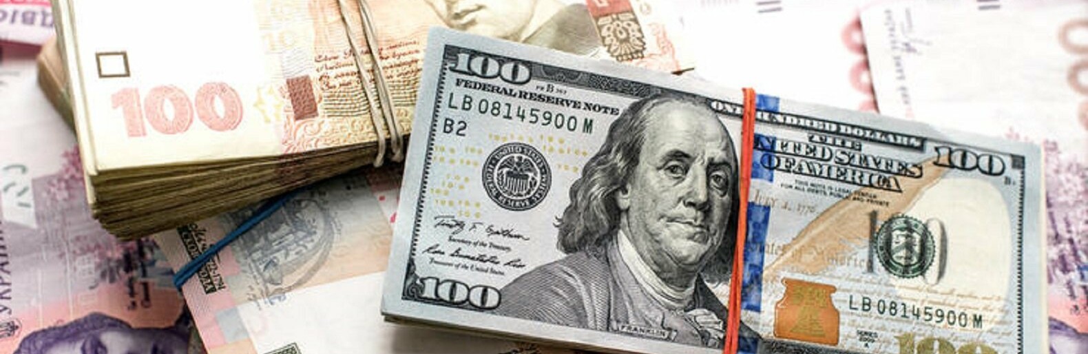 Курс валют в Киеве сегодня, 25 мая