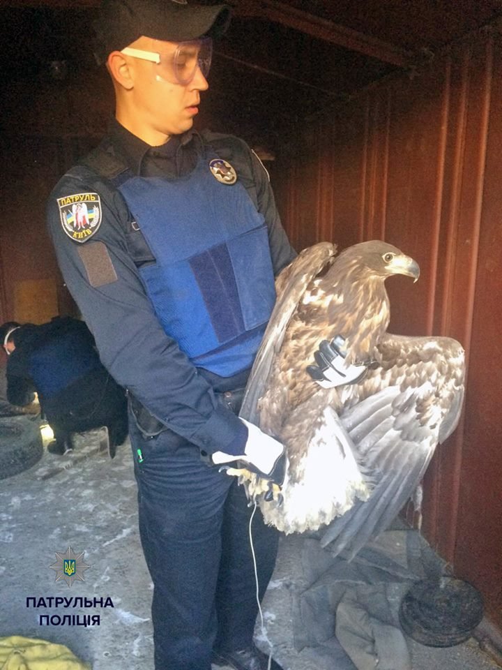 12043171_1633992046869323_4265605880640495022_n