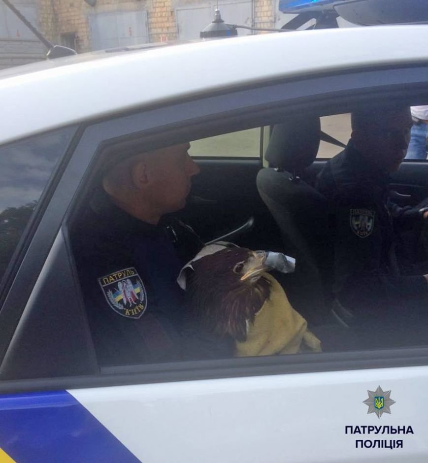 12033024_1633992050202656_8116779063153527796_n