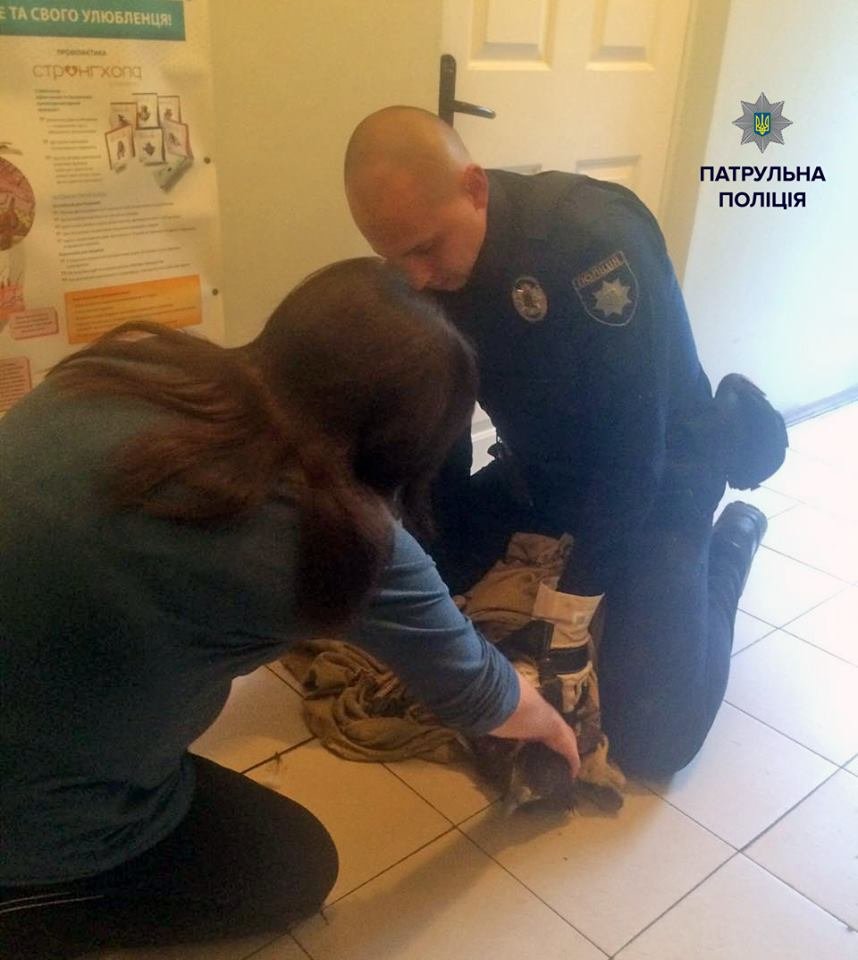 12009595_1633992043535990_8087800549825052805_n