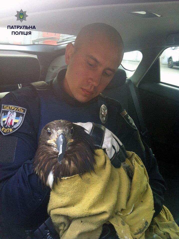 12074787_1633992063535988_697913153811896527_n